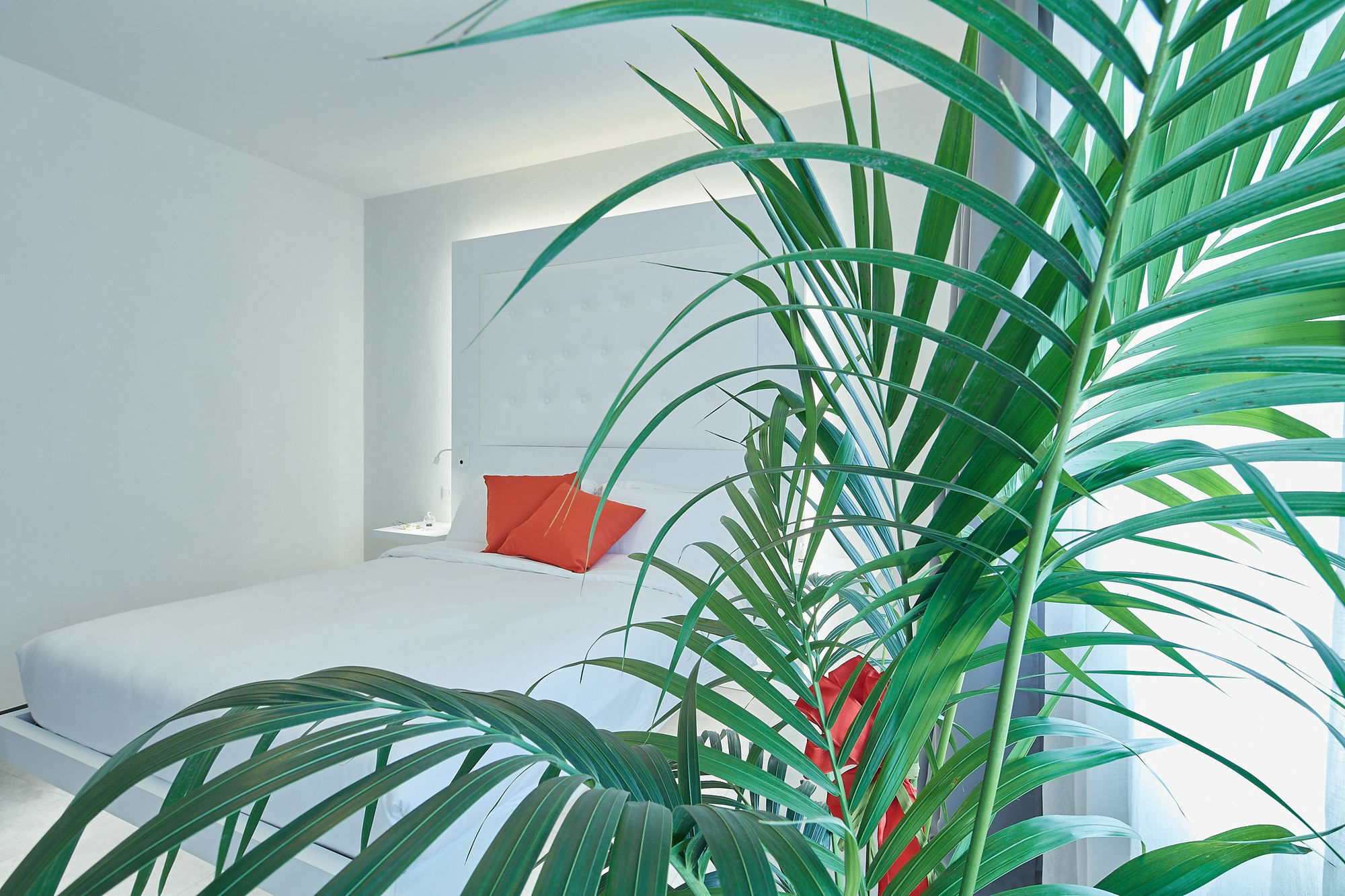 B&B Via Roma 25 Arezzo Exteriér fotografie